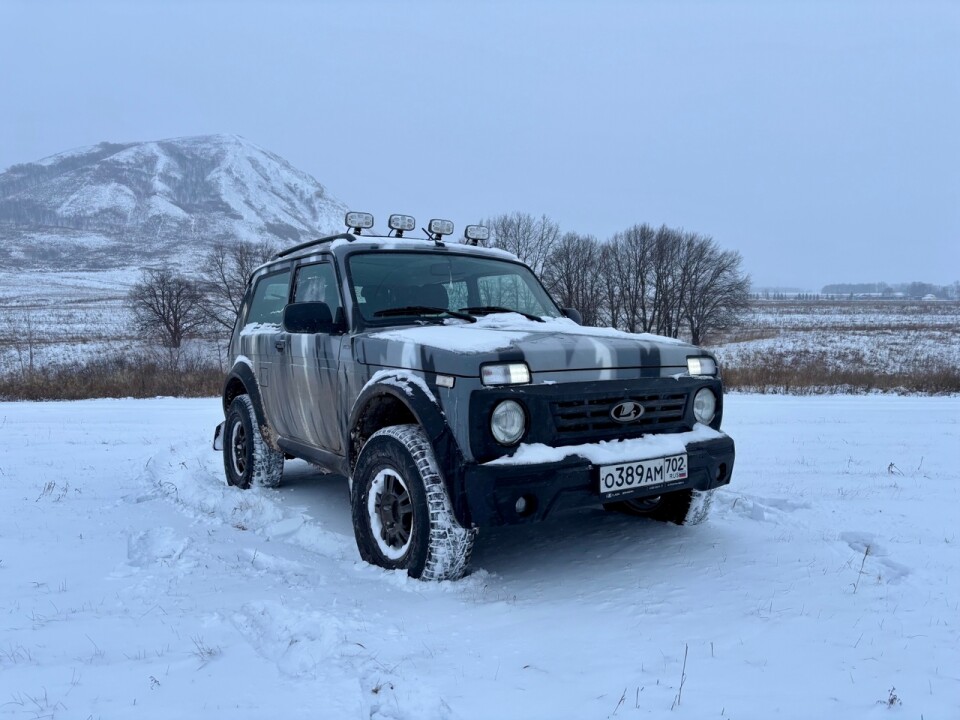 Нива Бронто