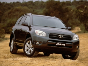 2006 Toyota RAV4 Cruiser L