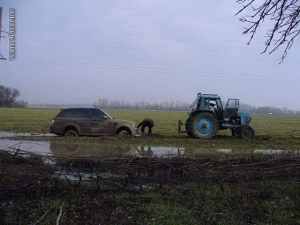 cuvs